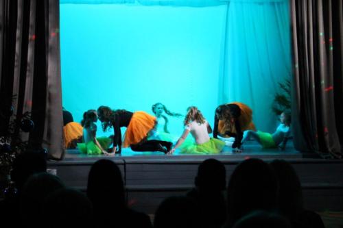 IMG 6900 (1)